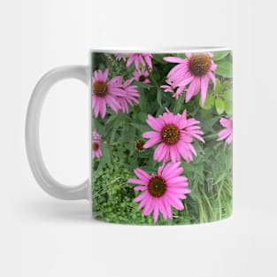 Purple Coneflowers Mug